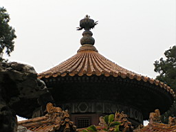 200608_190708b 115.jpg